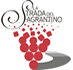 La strada del Sagrantino